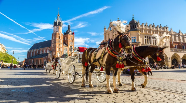 Krakow F&S 2